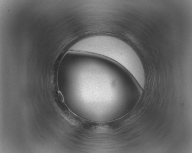 X0000068270548200604210943