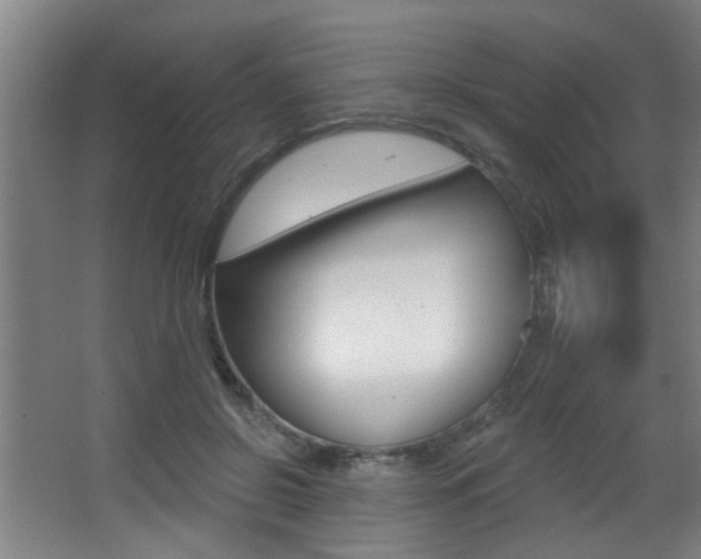 X0000068270550200604210943