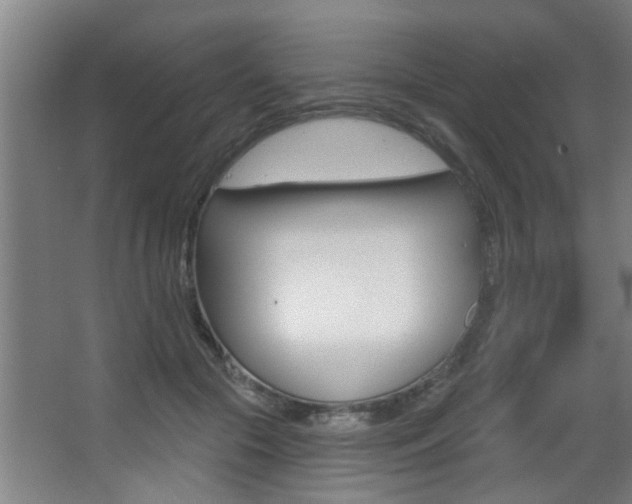 X0000068270553200604210943