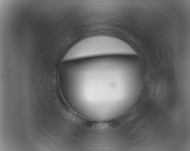 X0000068270554200604210943