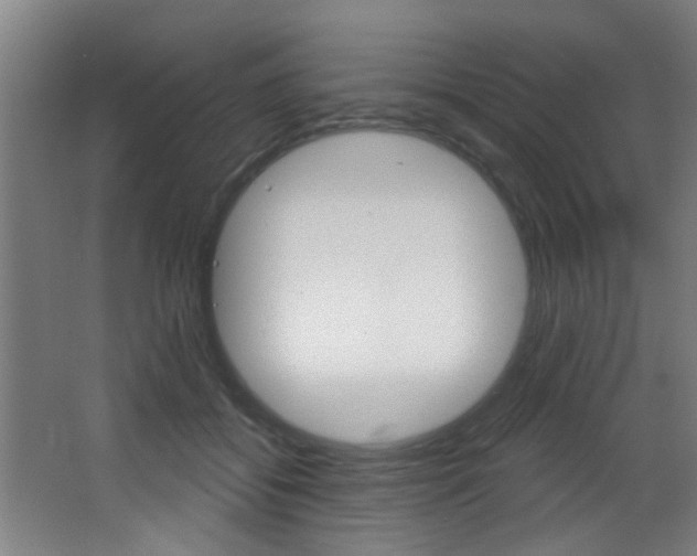 X0000068270556200604210943