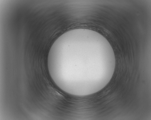 X0000068270558200604210943