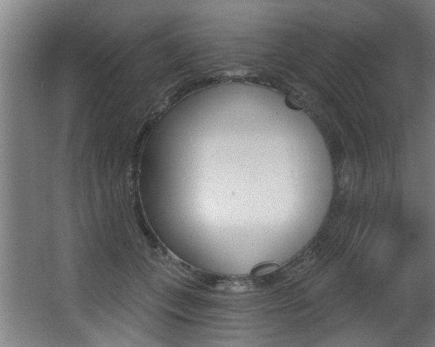 X0000068270559200604210943