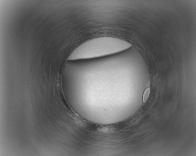 X0000068270561200604210943