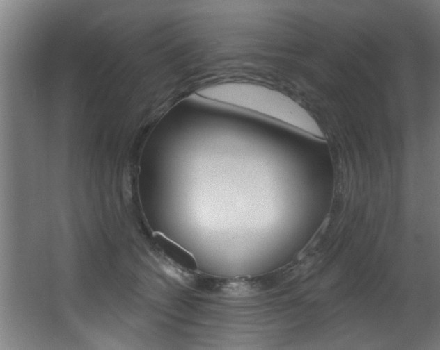 X0000068270562200604210943