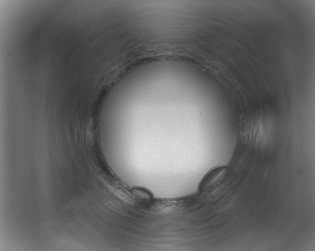 X0000068270563200604210943