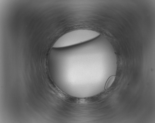 X0000068270565200604210943