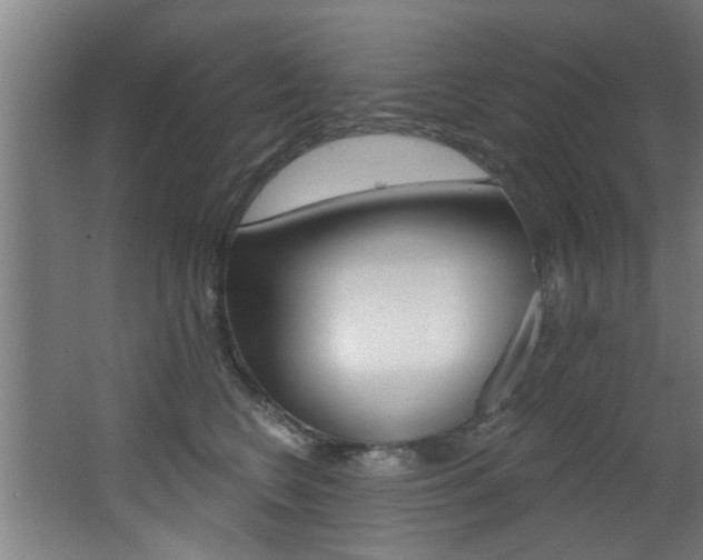 X0000068270566200604210943