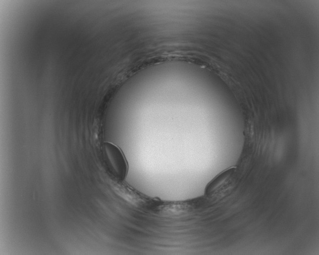 X0000068270567200604210943