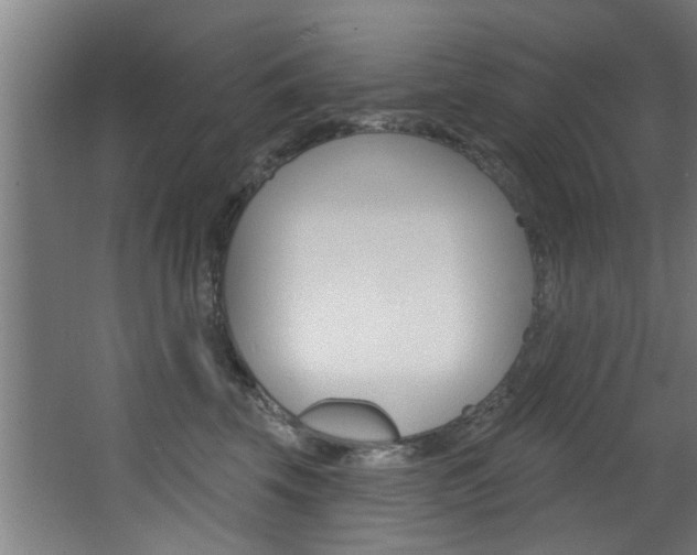 X0000068270569200604210943