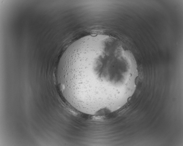 X0000068270573200604210943