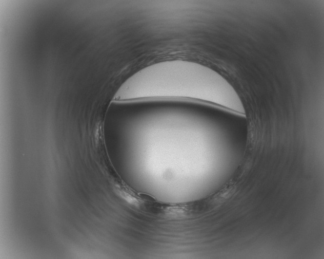 X0000068270574200604210943