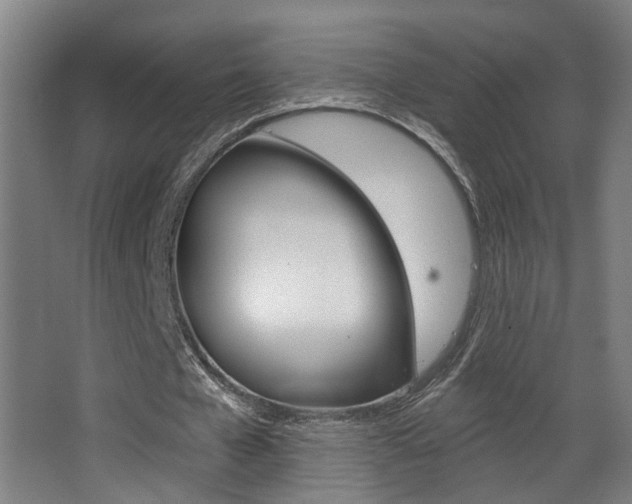 X0000068270577200604210942