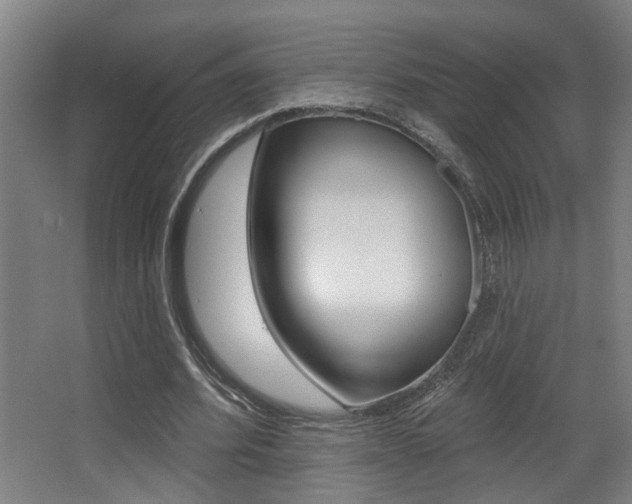 X0000068270580200604210942