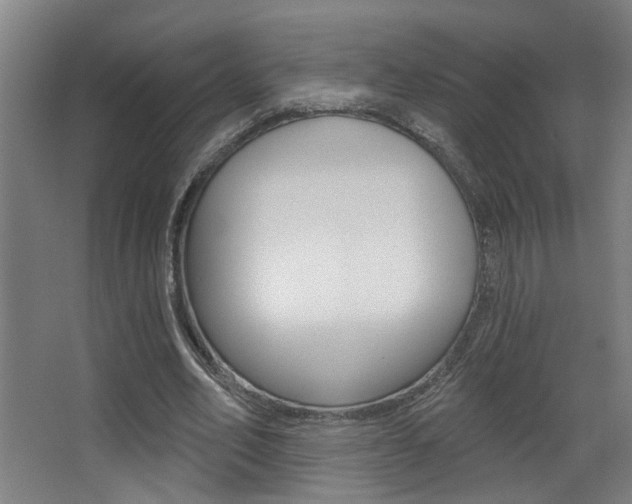 X0000068270582200604210942