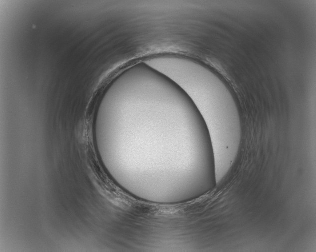 X0000068270583200604210942