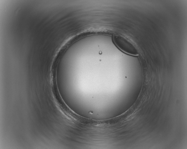 X0000068270584200604210942