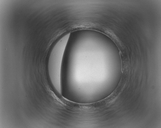 X0000068270585200604210942