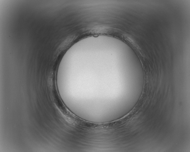 X0000068270586200604210942