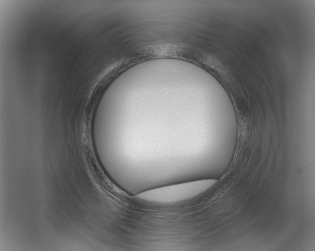 X0000068270587200604210942