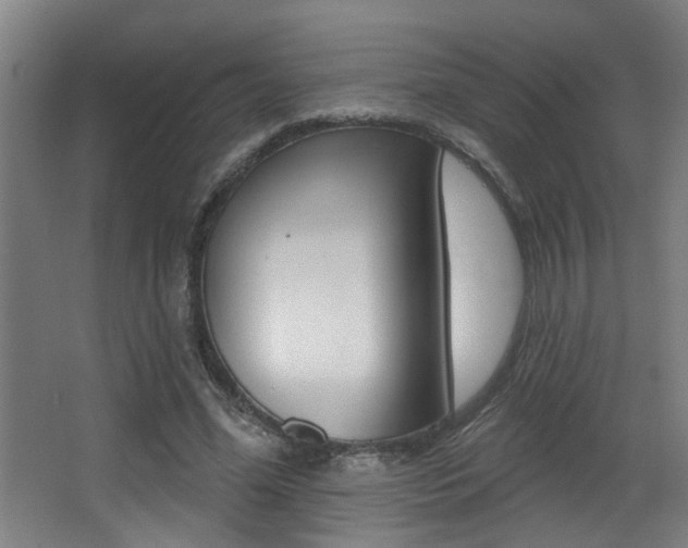 X0000068270588200604210942