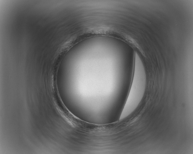 X0000068270589200604210942