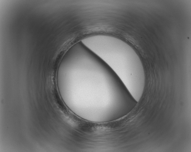 X0000068270590200604210942