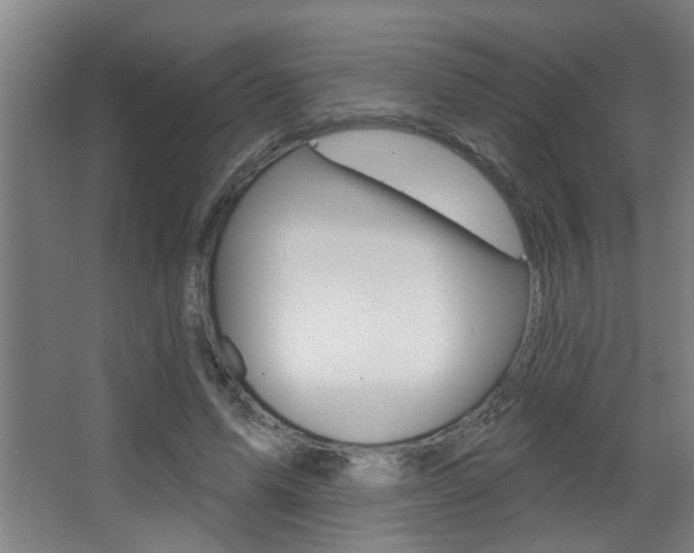 X0000068270591200604210942