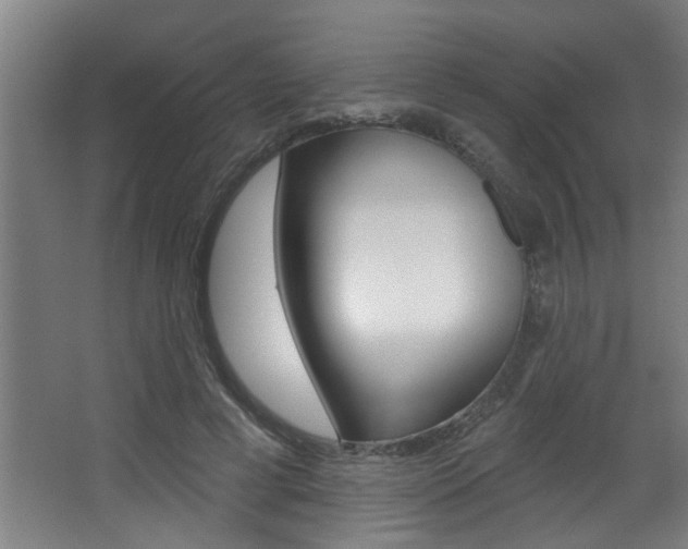 X0000068270593200604210942