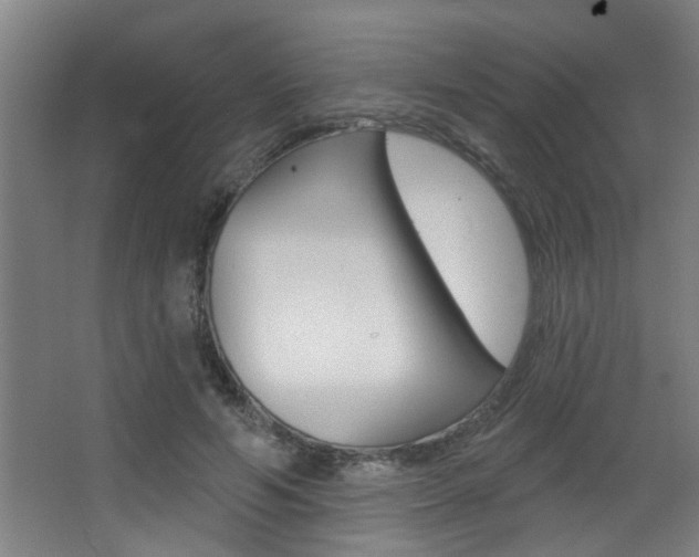 X0000068270594200604210942