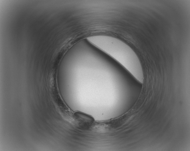 X0000068270595200604210942