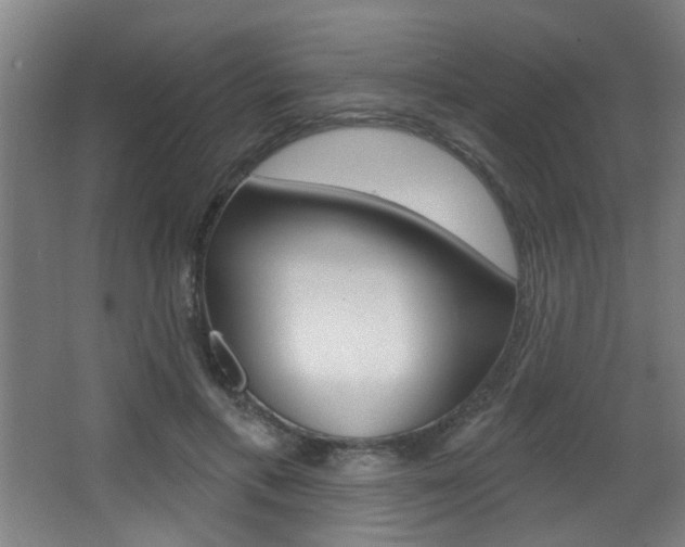 X0000068270597200604210942