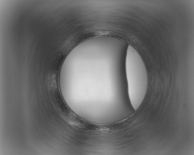 X0000068270598200604210942