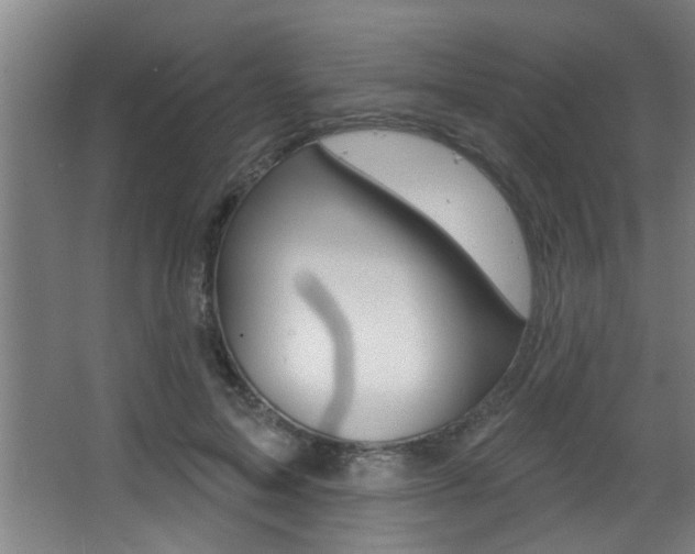 X0000068270599200604210942