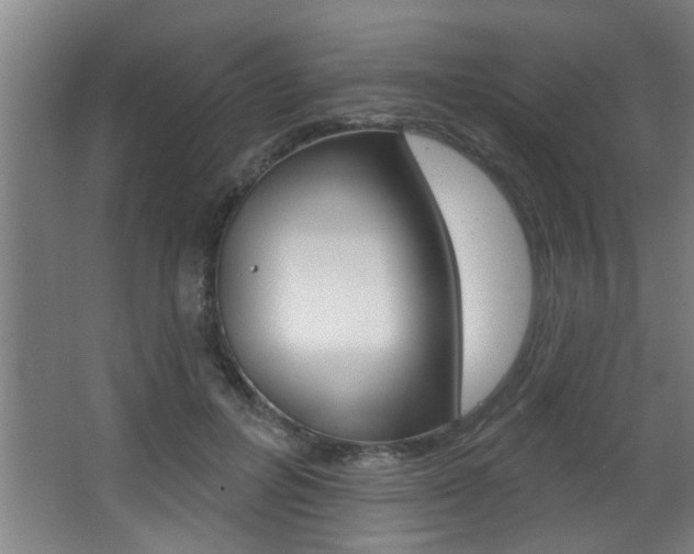 X0000068270600200604210942