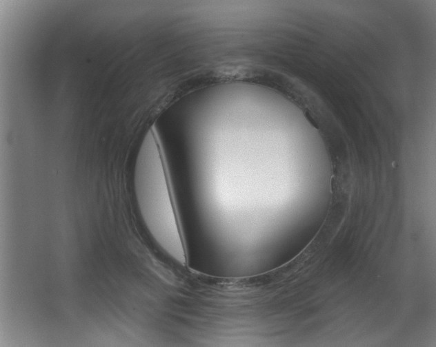 X0000068270601200604210942