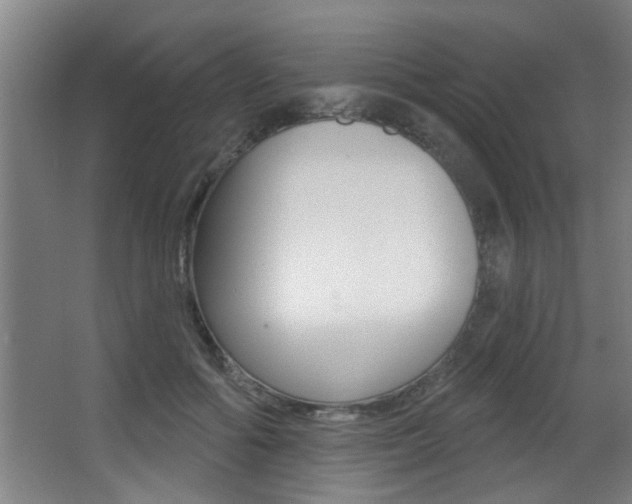 X0000068270602200604210942