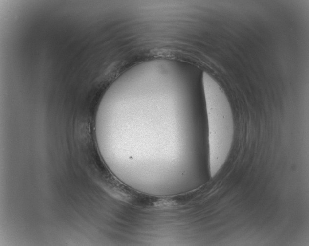 X0000068270603200604210942