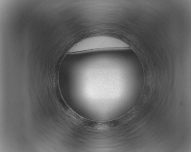 X0000068270604200604210942