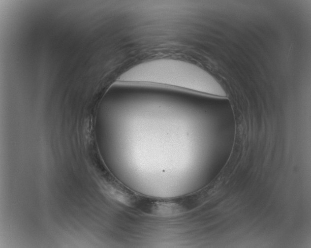 X0000068270605200604210942