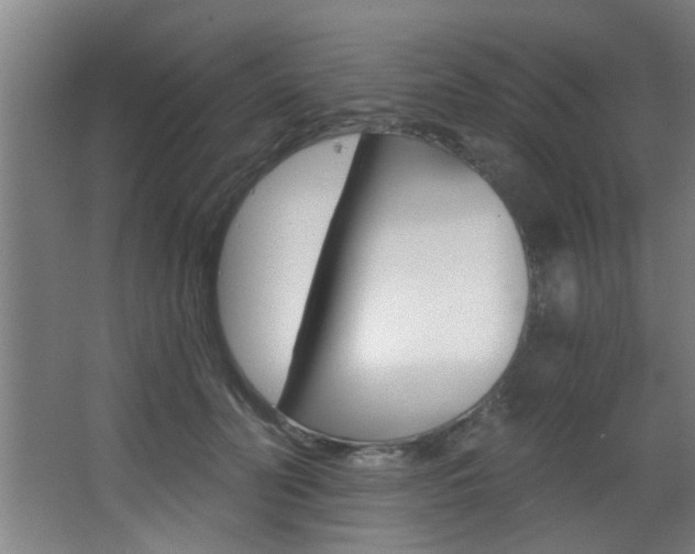 X0000068270606200604210942