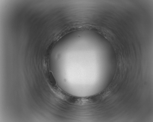 X0000068270607200604210942