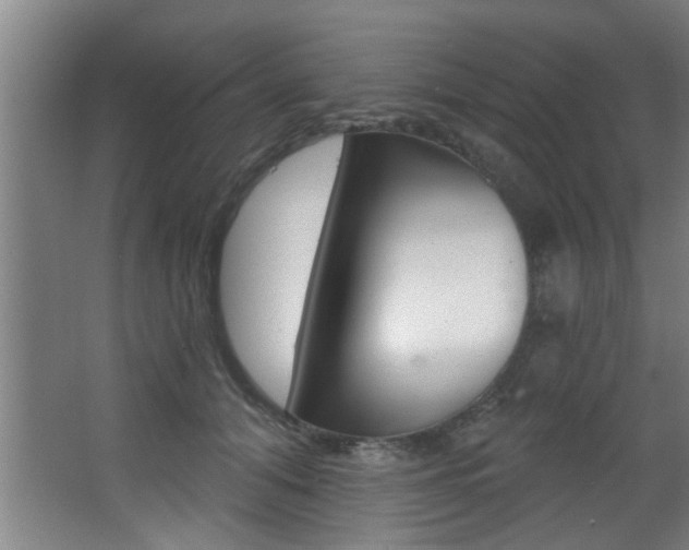 X0000068270608200604210942