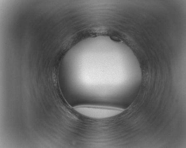 X0000068270609200604210942