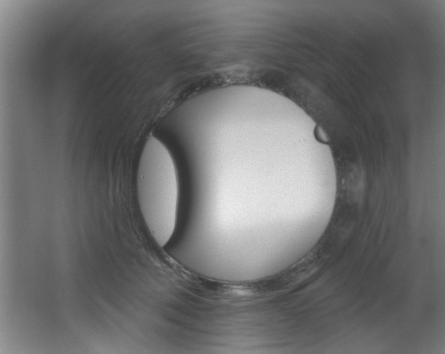 X0000068270610200604210942