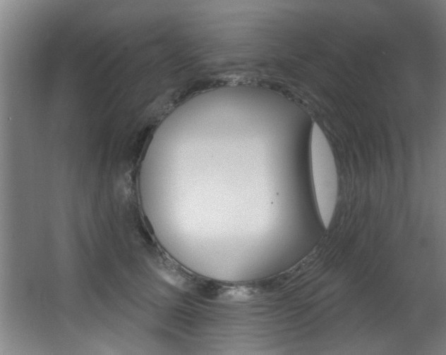 X0000068270611200604210942