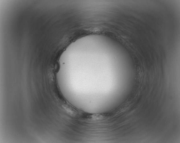 X0000068270612200604210942