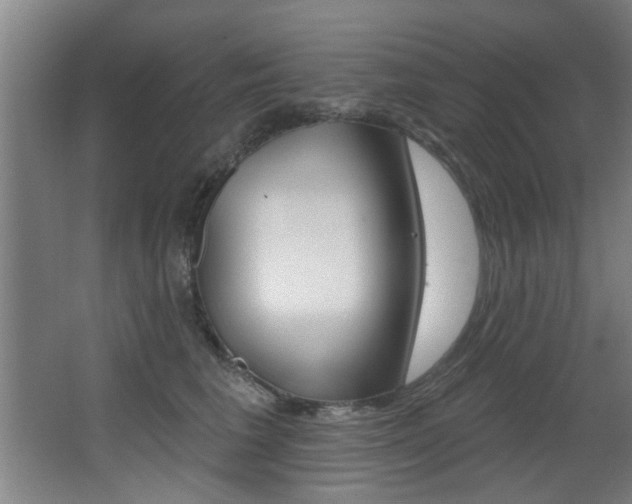 X0000068270613200604210942