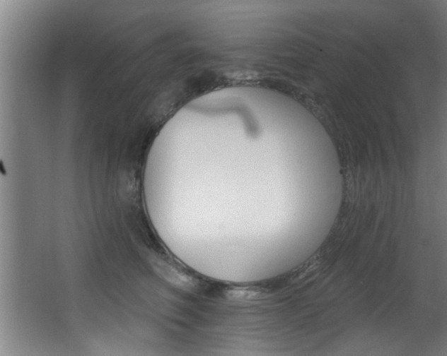 X0000068270614200604210942