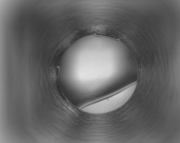 X0000068270617200604210942